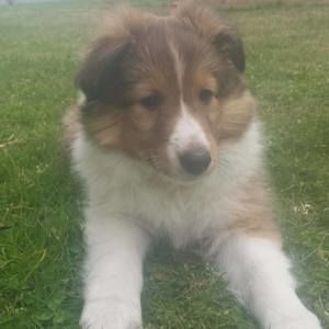 Meet your Posher, Donna barry